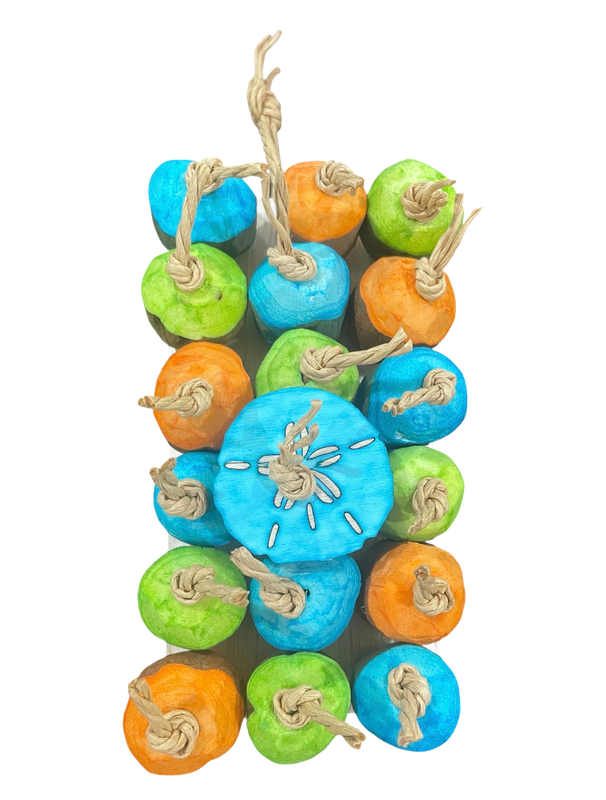 Seagrit &amp; a Sand Dollar Toy for Small and Medium Birds Limited Edition by Feathered Addictions