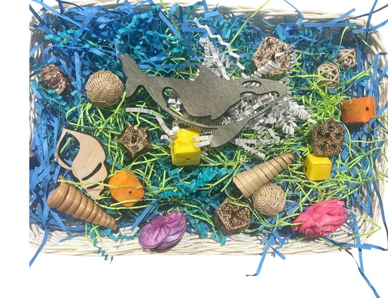Avian "Zooplankton" Rattan Foraging Tray 11" x 7" for Small and Medium Birds Limited Edition by Feathered Addictions