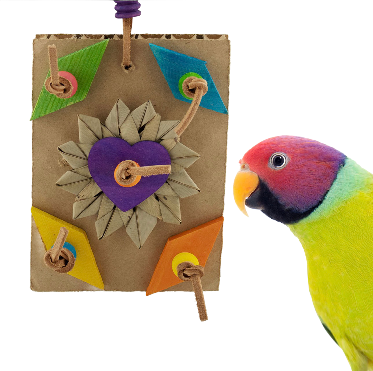 Busy Board for Small and some Medium Birds by Super Bird Creations