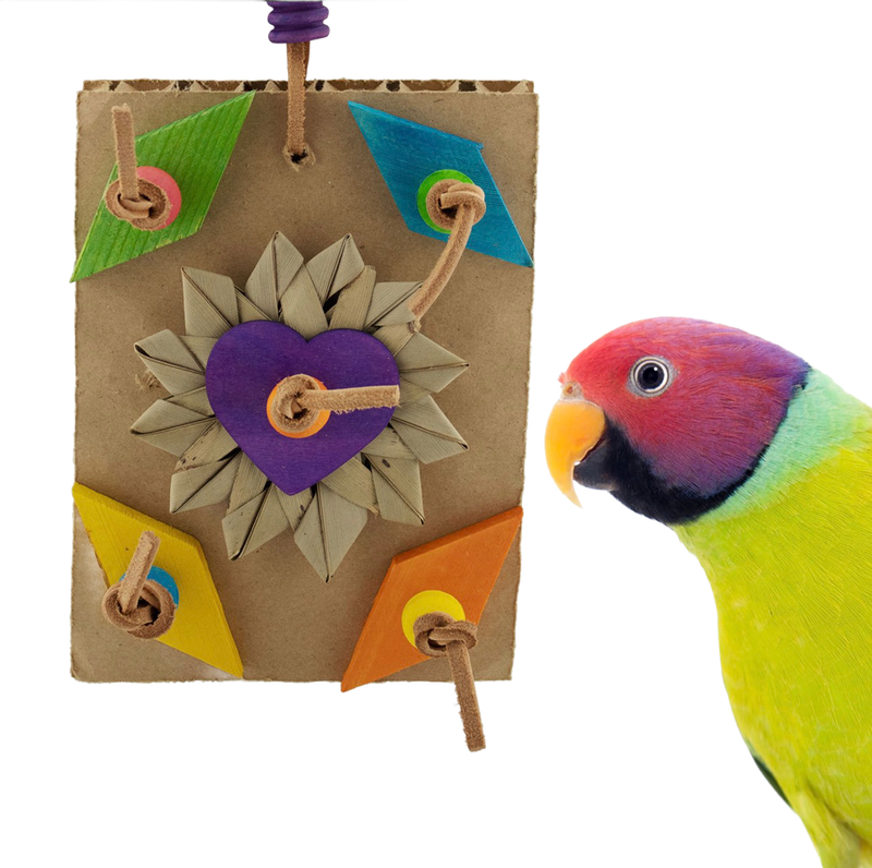 Busy Board for Small and some Medium Birds by Super Bird Creations
