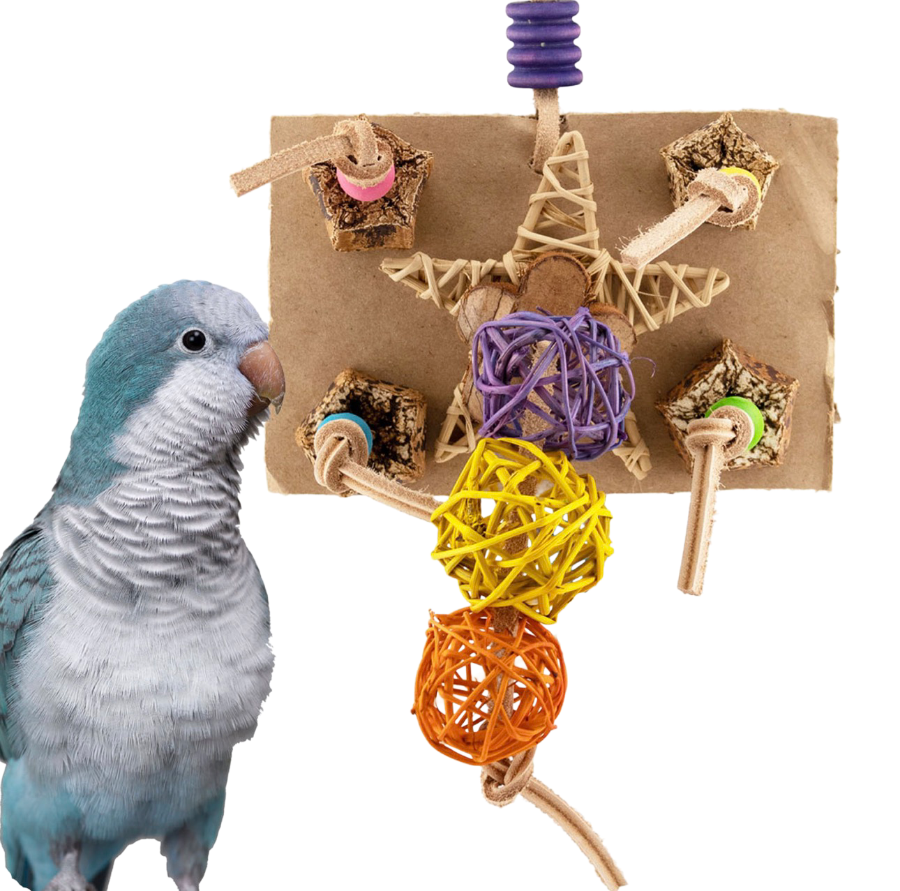 A Bunch of Crunch for Small and some Medium Birds by Super Bird Creations