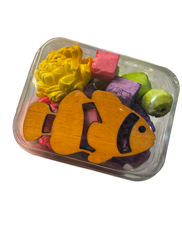 Clownfish Sola Clamshell for Small and Medium Birds by Feathered Addictions