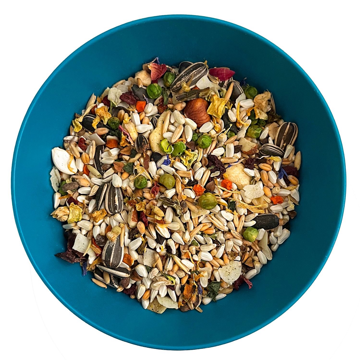 Nature's Enrichment 3 Lb High Variety Bird Food Large Blend for Macaws, Amazons, African Greys, Cockatoos and more by Aria