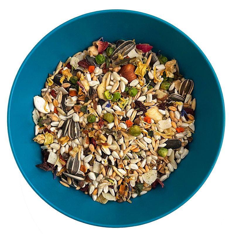 Nature's Enrichment 3 Lb High Variety Bird Food Large Blend for Macaws, Amazons, African Greys, Cockatoos and more by Aria