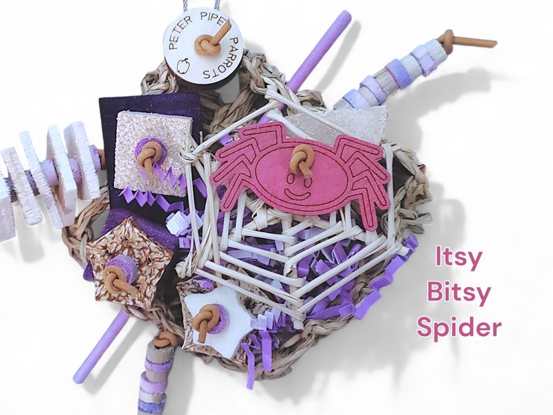 Itsy Bitsy Spider 4"x4" Mat Shredder by Peter Piper Parrots - Limited Edition