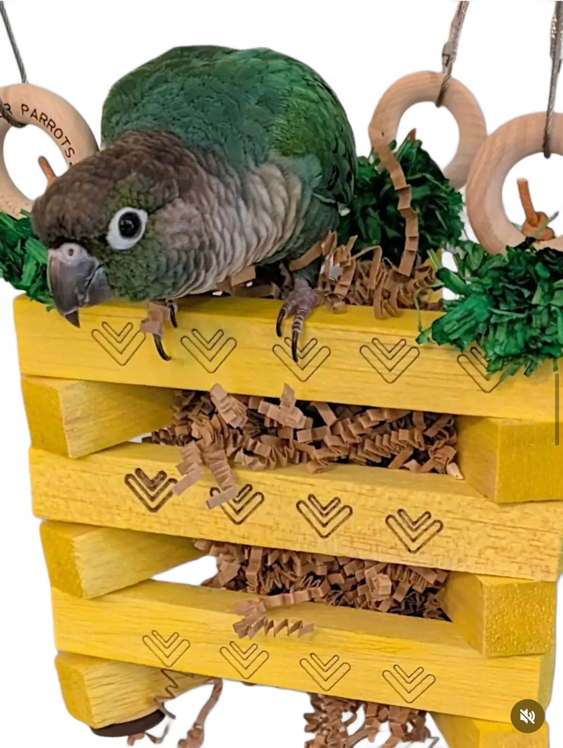 Pineapple Balsa Stack up by Peter Piper Parrots for Small and some Medium Size Birds - Limited Edition