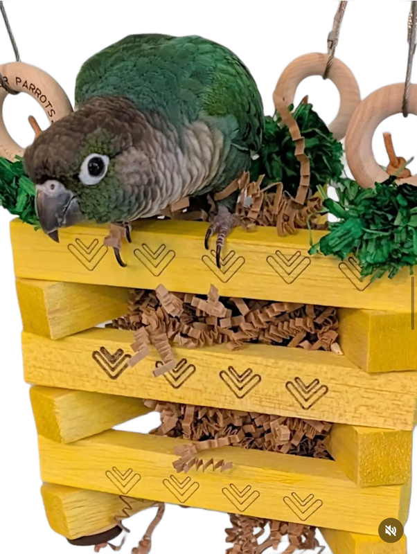 Pineapple Balsa Stack up by Peter Piper Parrots for Small and some Medium Size Birds - Limited Edition