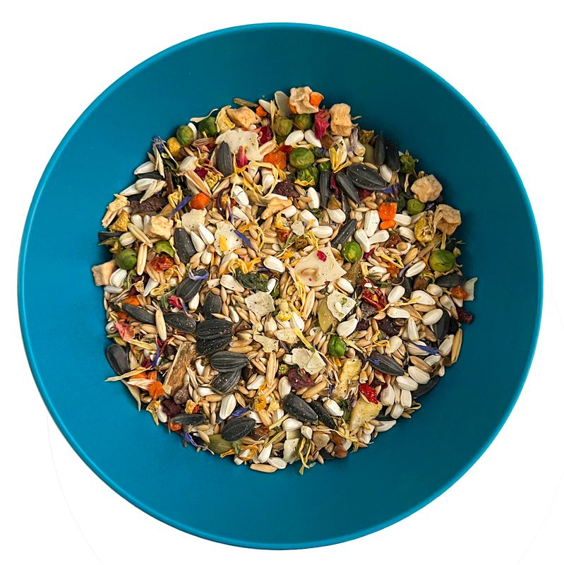 Nature's Enrichment 3 Lb High Variety Bird Food Medium Blend for Cockatiels, Conures, Quakers, Parrotlets, Caiques, Lovebirds and other similar size birds by Aria