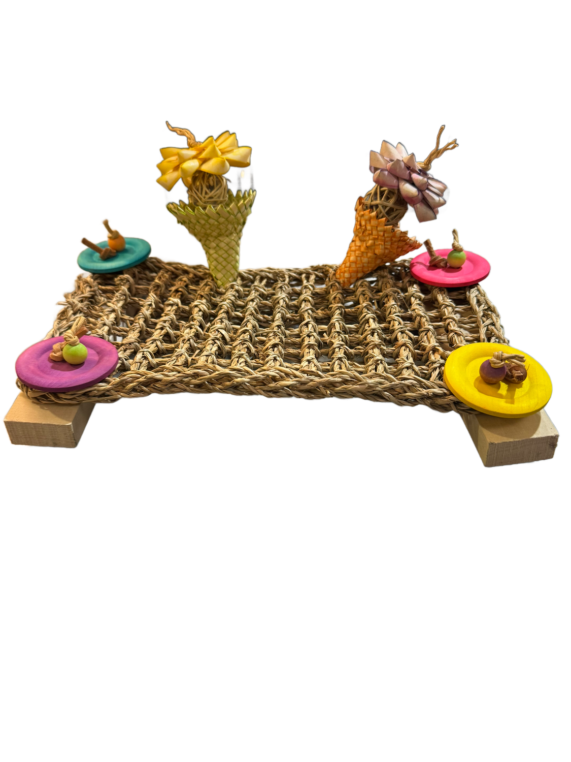 Birdie's Beach Lookout Cage Mount Platform for Small and Medium Birds by Feathered Addictions