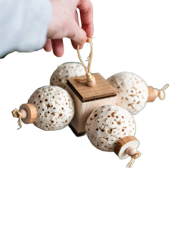 Sola Chomp for Small and Medium Birds Little Dinos Natural Bird Toys