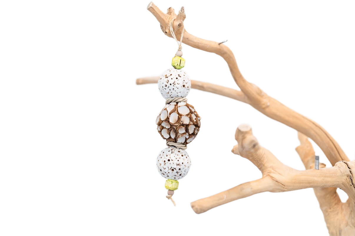 Acorn for Small and some Medium Birds Little Dinos Natural Bird Toys