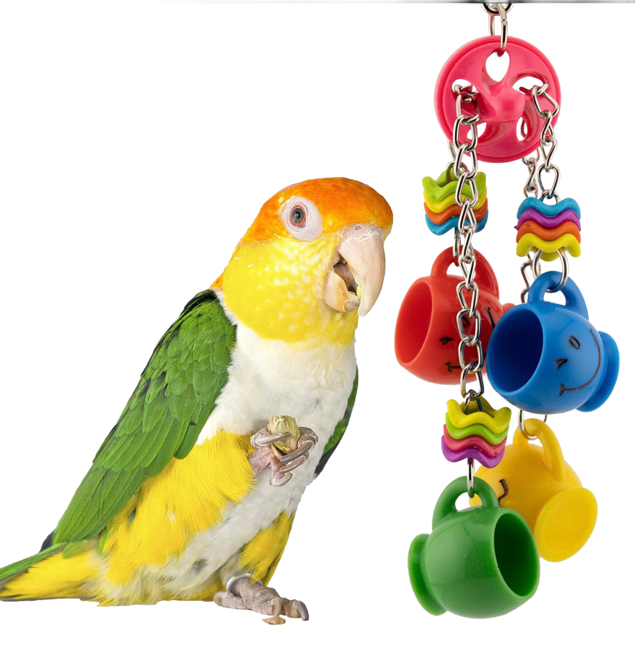 Cups of Joy for Small Birds by Super Bird Creations