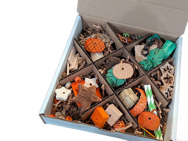 Pumpkin Patch Discovery Box NEW Theme by Peter Piper Parrots -- Limited Edition