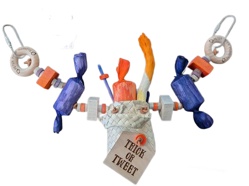 Trick or Treat Limited Edition by Peter Piper Parrots