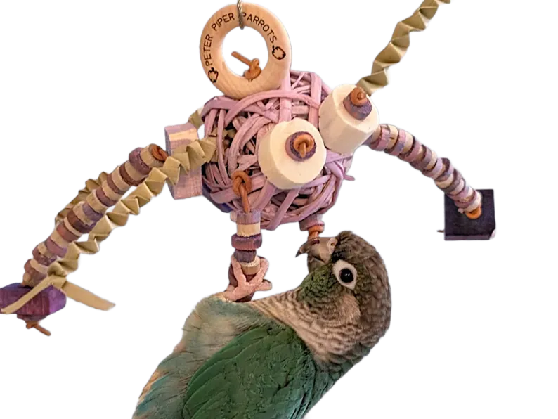 Kombi Ball Holiday Spider Toy by Peter Piper Parrots Limited Edition