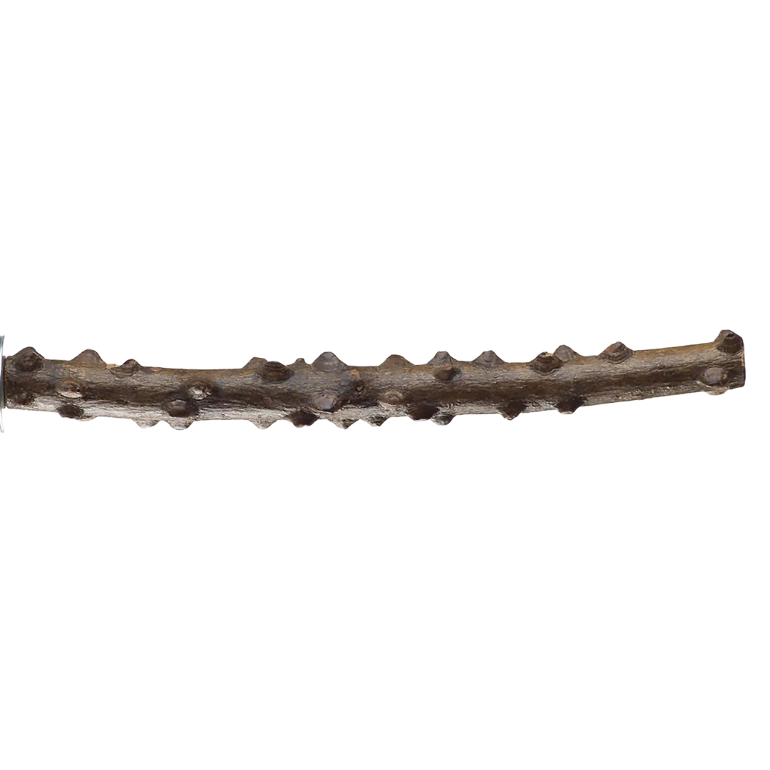 Knobby All Natural Wood Perch 1" Diameter x 12" Long for Medium Birds by Aria Bird Products