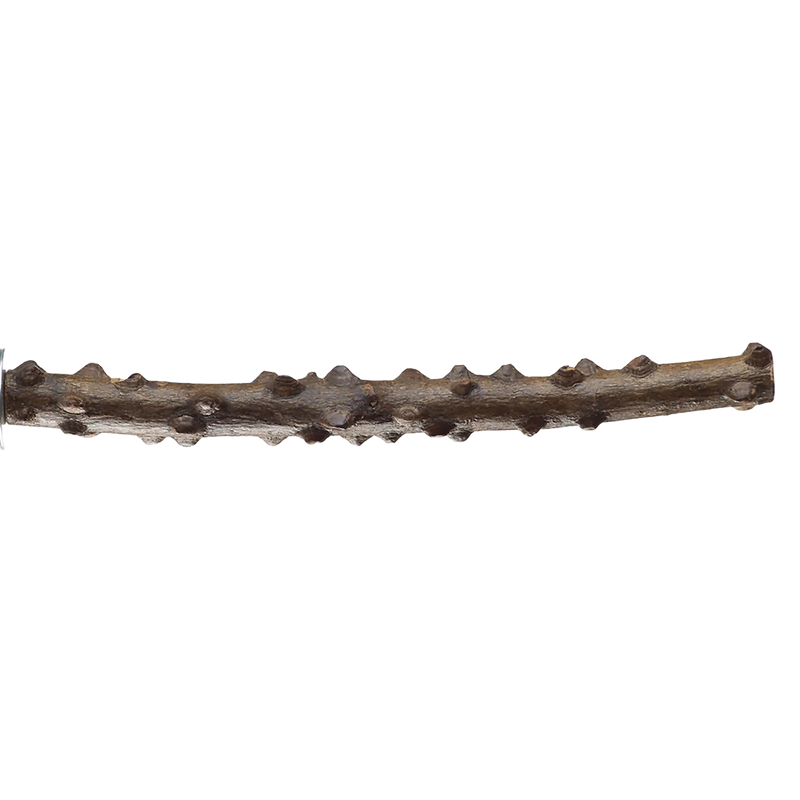 Knobby All Natural Wood Perch 1" Diameter x 12" Long for Medium Birds by Aria Bird Products