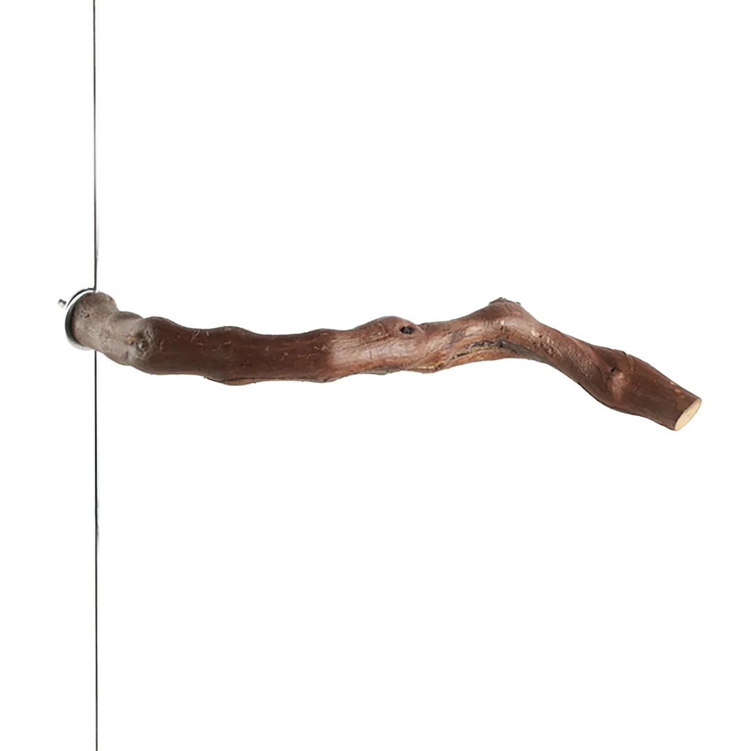 Grapevine  All Natural Wood Perch 1" Diameter x 10" Long for Small to Medium Birds by Aria Bird Products