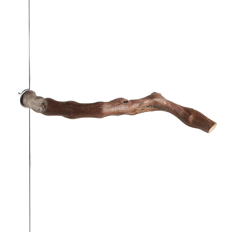 Grapevine  All Natural Wood Perch 1" Diameter x 10" Long for Small to Medium Birds by Aria Bird Products