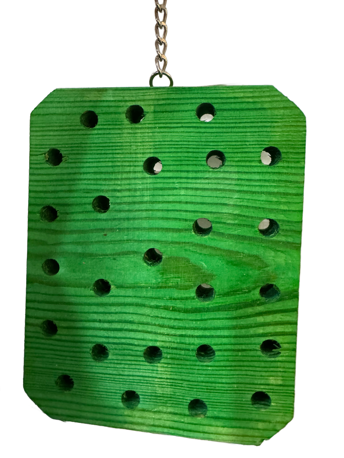 The Bee Hive for Large Birds by Aria Bird Products