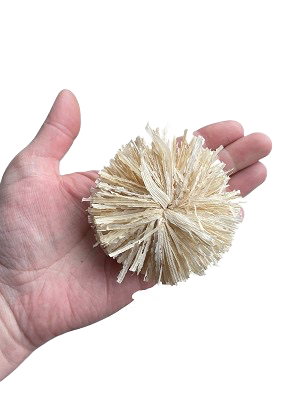 Corn Husks Rounds Natural - 6 Pack by Feathered Addictions