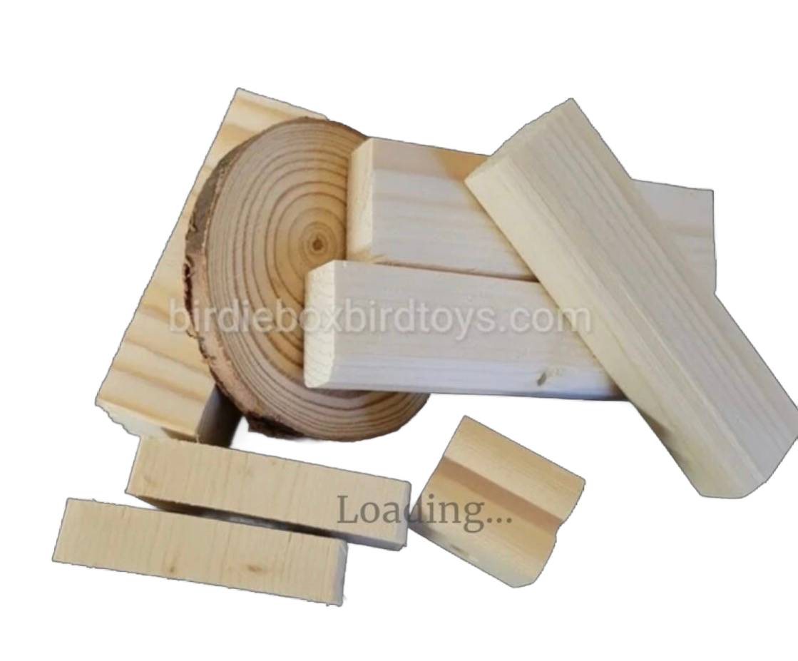 All Natural Wood Chews by Birdie Box Bird Toys