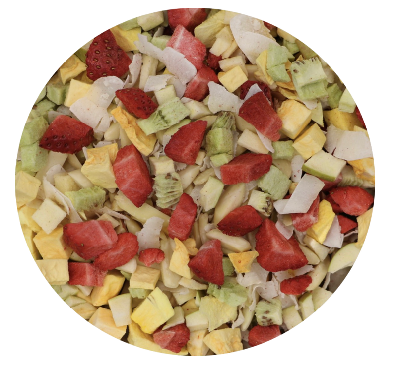 Tropical Delight Big Foot Foodie Trail Mix for all Parrots by myParrotopia®