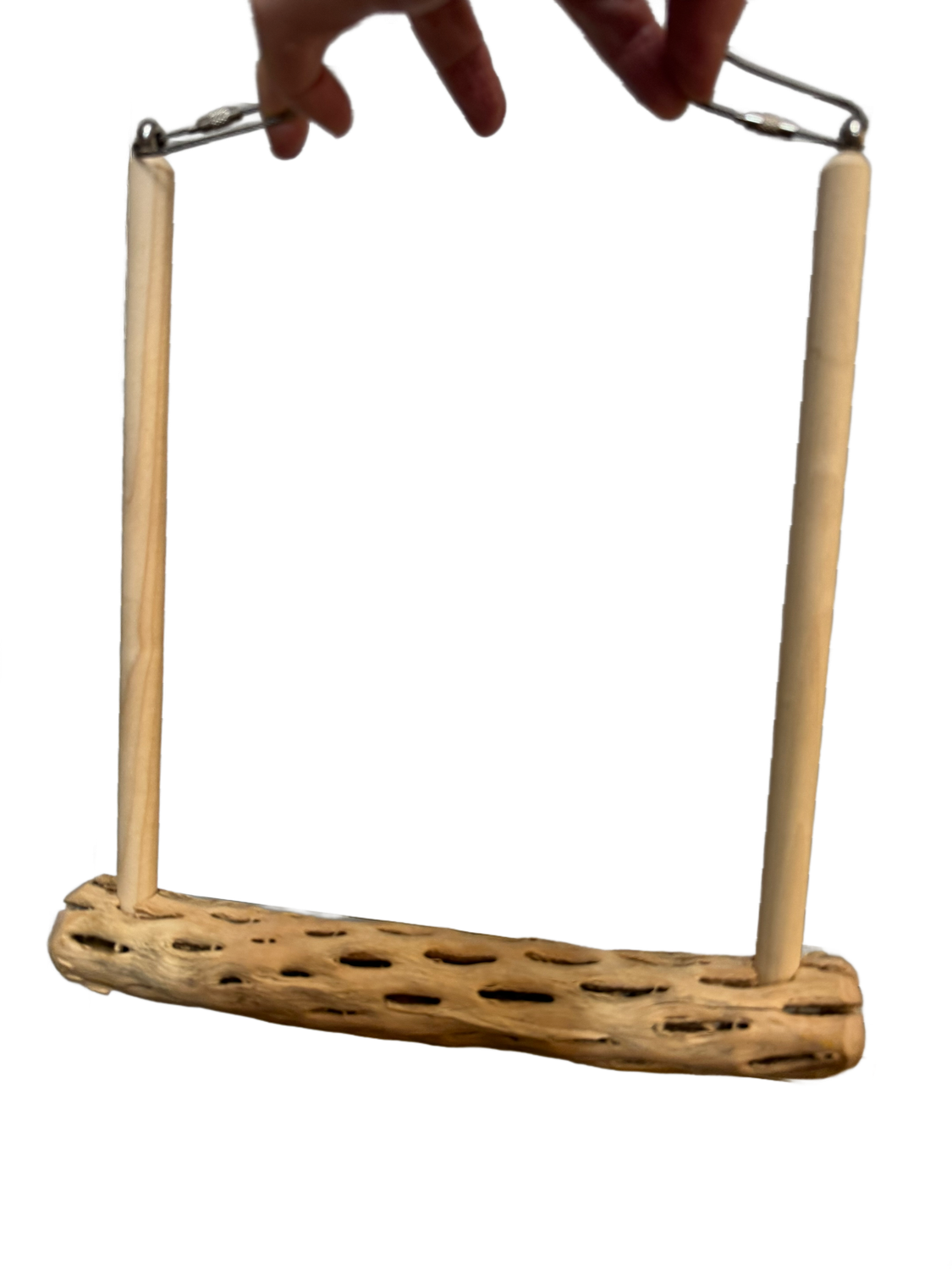 Cholla Swing made Larger for Medium Birds with Cork by Peter Piper Parrots