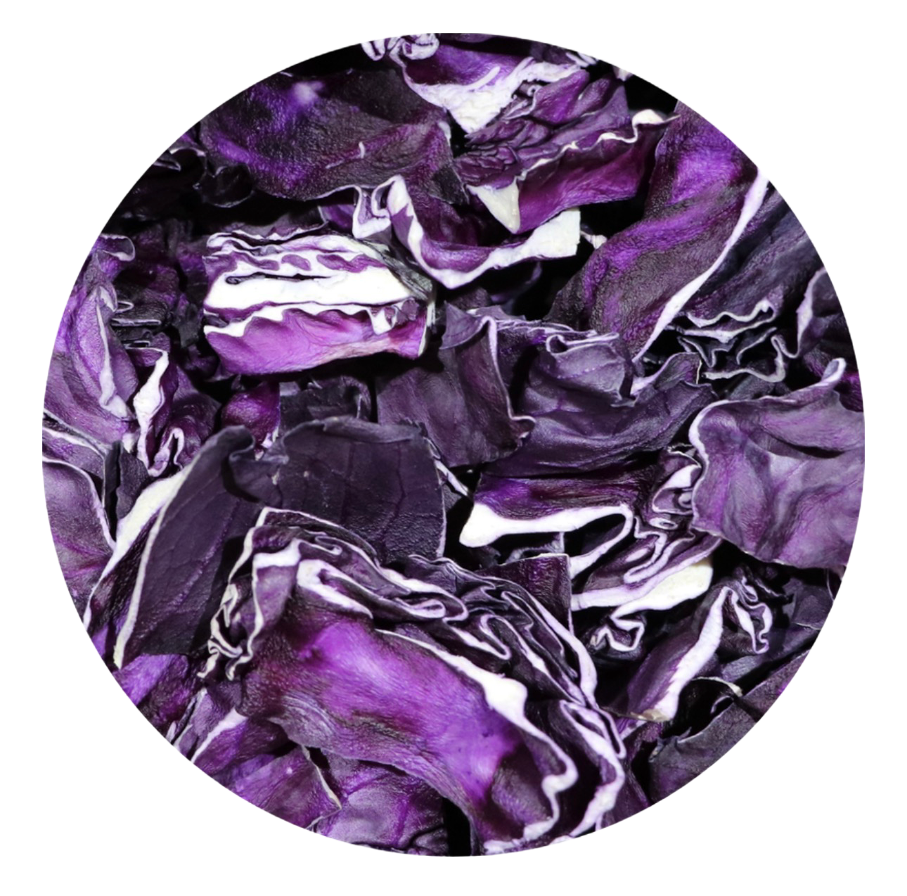 Red Cabbage for all Parrots by myParrotopia®