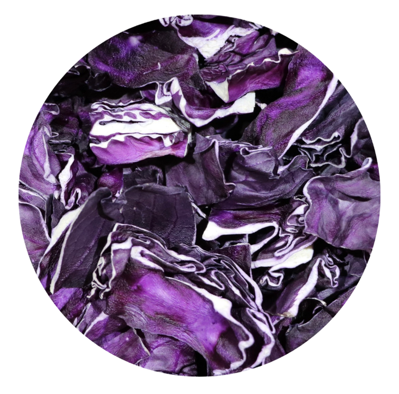 Red Cabbage for all Parrots by myParrotopia®