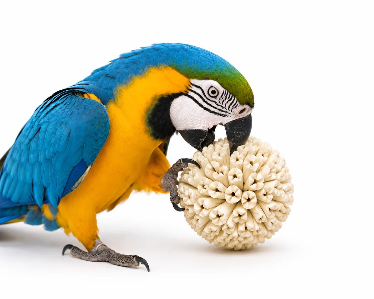Big 4" Sola Bloom Ball by Cheep Thrills