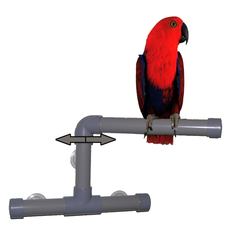 Medium Shower Perch 9" x 12" by Zoo Max