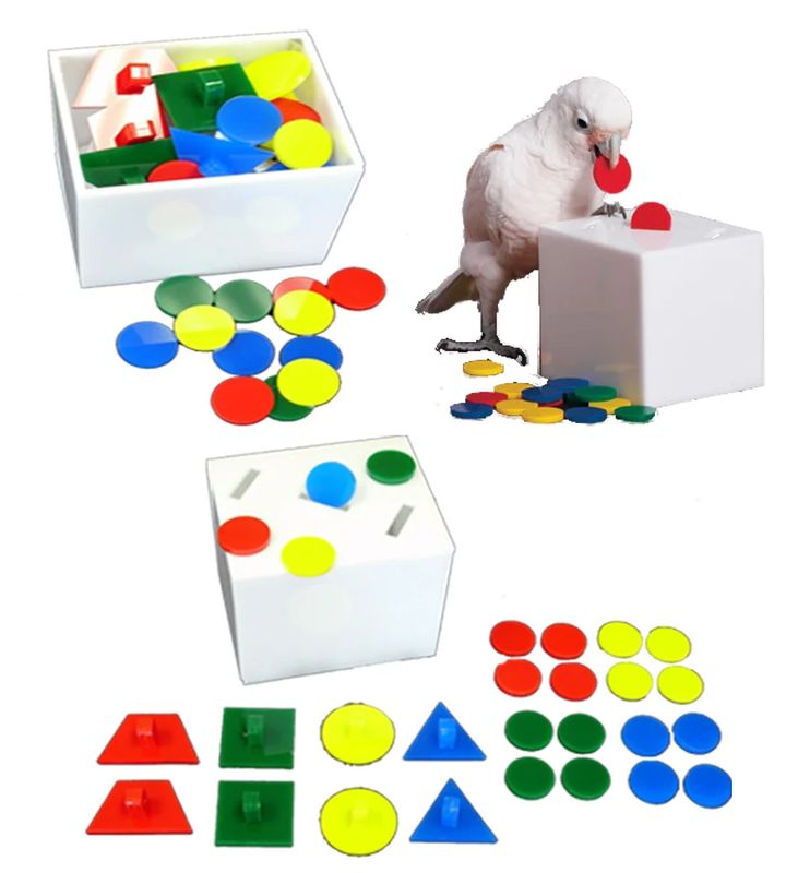 Teach Box N Bank - Large - 7" x 6" x 6"  (2 training games in one, includes instructions) for Medium &amp; Large Birds