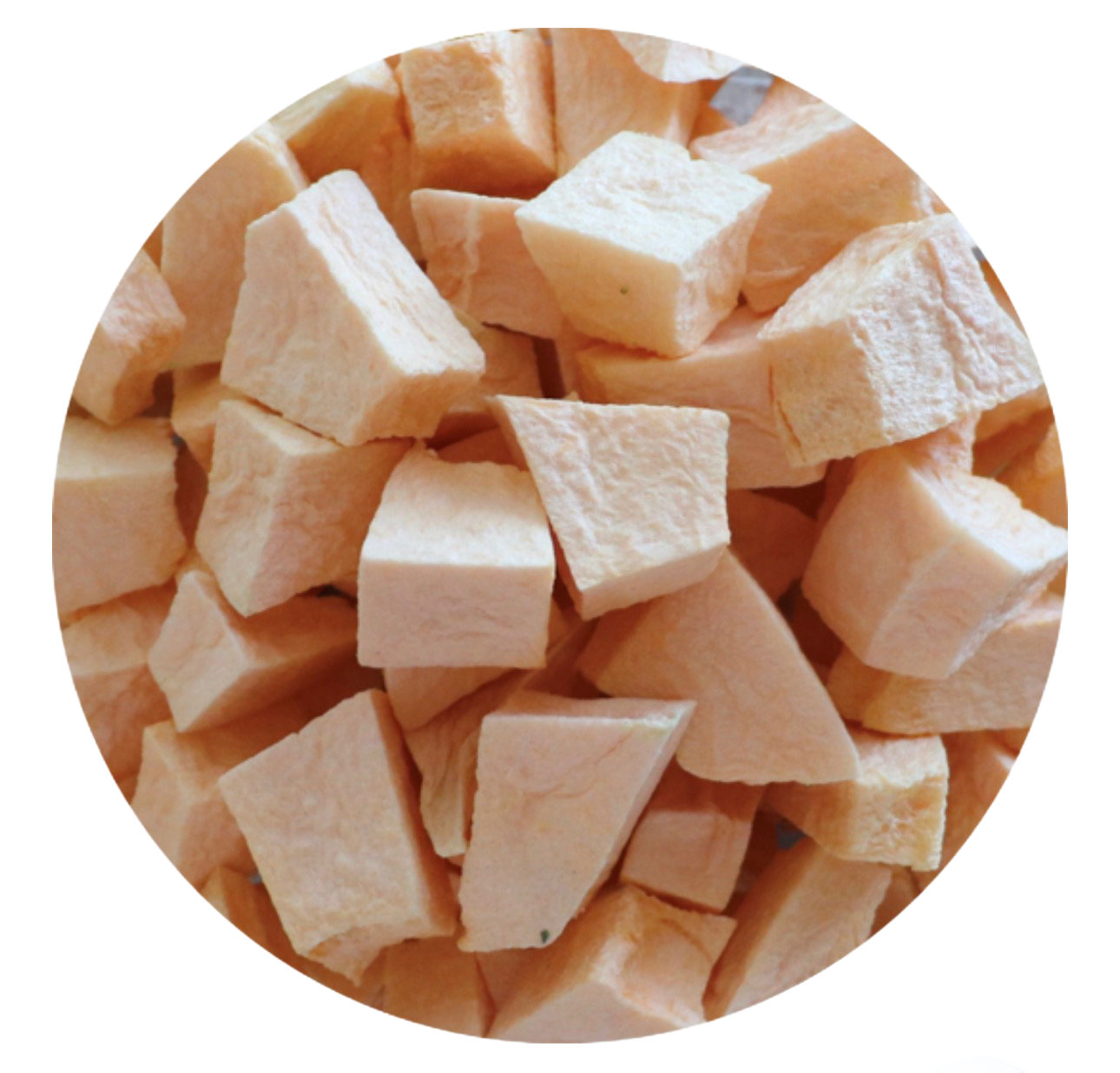 Freeze Dried Cantaloupe Melon for all Parrots by myParrotopia®
