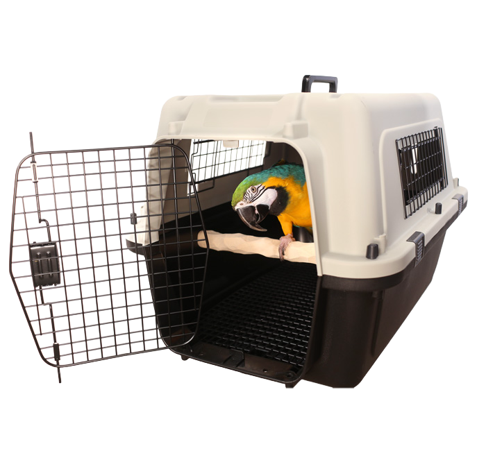 Large Bird Carrier for Large Birds by The Parrot Wizard