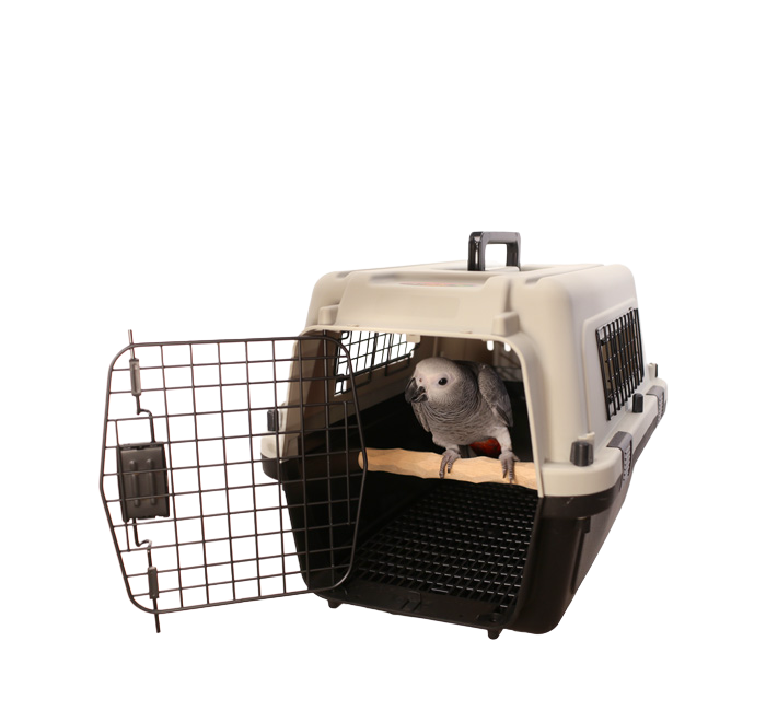 Medium Bird Carrier for Large Birds by The Parrot Wizard
