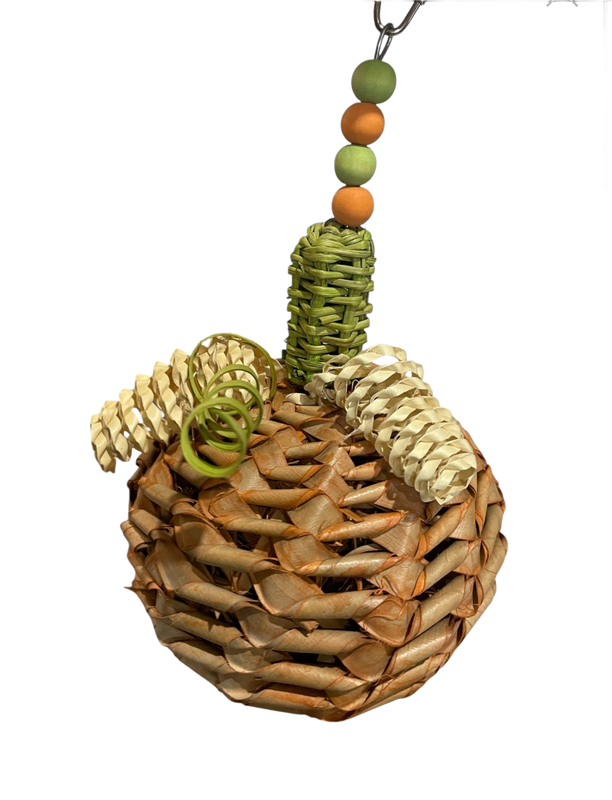 Pumpkin &amp; Vine Pinata for Small &amp; Medium Birds by Feathered Addictions