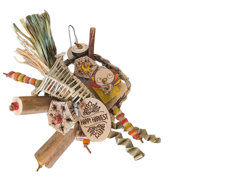 Happy Harvest 4"x4" Mat Shredder by Peter Piper Parrots - Limited Edition