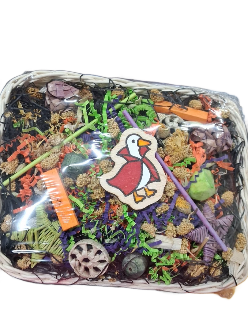 Capes and Coffins Rattan Foraging Tray 9" x 7" LIMITED EDITION for Small &amp; Medium Birds by Feathered Addictions