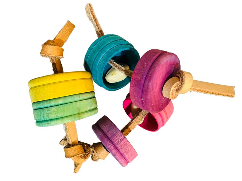 Nut Hider for Medium &amp; Large Birds by Feathered Addictions