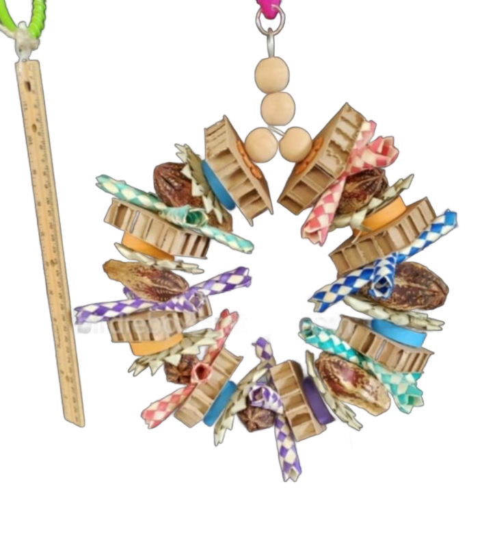 The Cruncher for Medium and Large Birds by Birdie Box Bird Toys