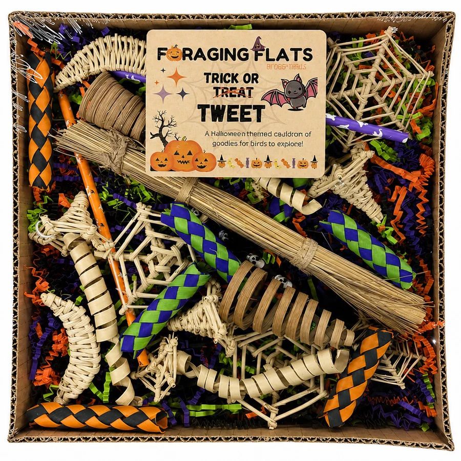 Halloween Edition Foraging Flat Limited Edition by Cheep Thrills Bird Toys