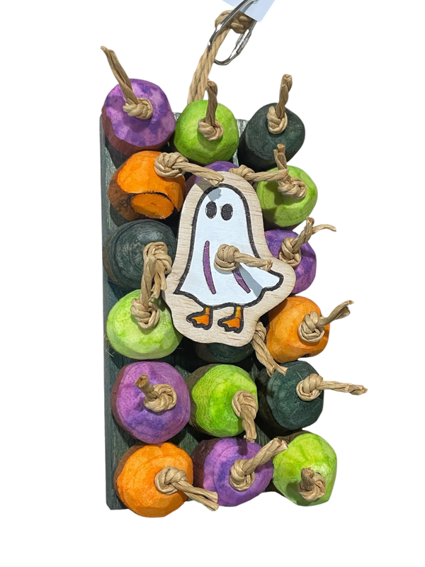 Got the Graveyard Shift Sola Bingo Board for Small and Medium Birds Limited Edition by Feathered Addictions