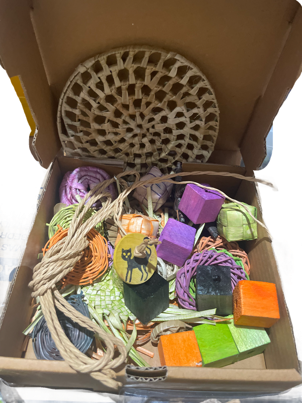 Take N Make Halloween Box for Small &amp; Medium Birds Limited Edition by Feathered Addictions