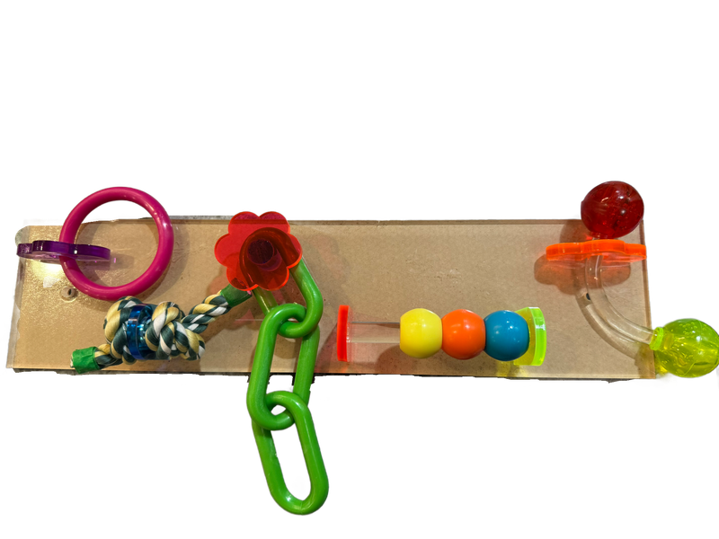 Push Me Pull Me Cage Mount Large withoout Bell in Acrylic for Medium &amp; Large Birds by Bell Plastics Bird Toys
