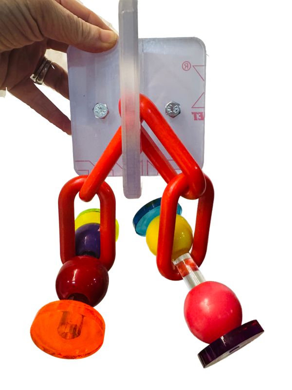 XL Chain Pull Acrylic Cage Mount Toy with Short Chain for Large Birds by Bell Plastics Bird Toys