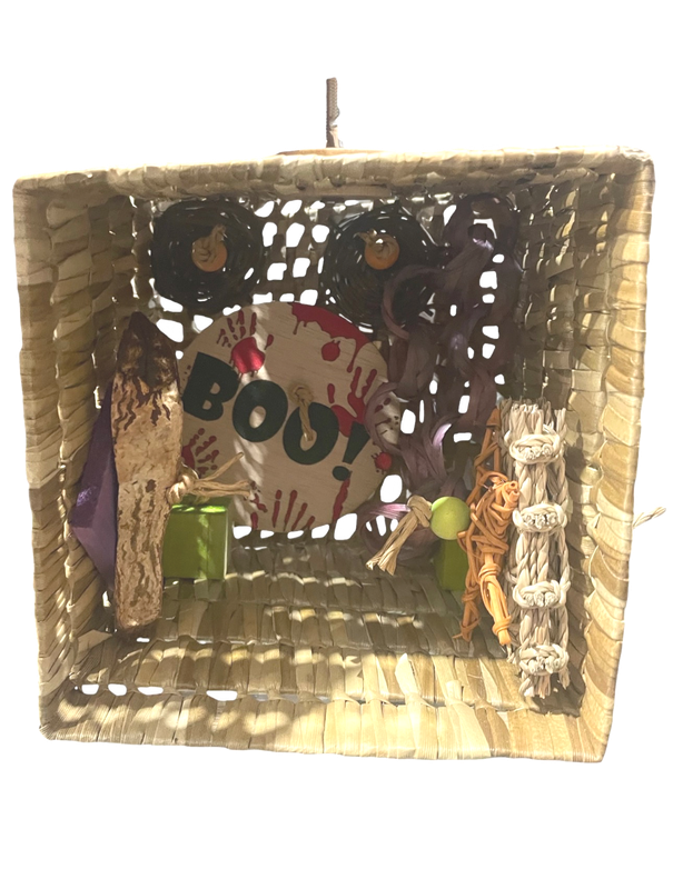 Haunted House Cage Top Mount Limited Edition Toy for Small Birds by Feathered Addictions