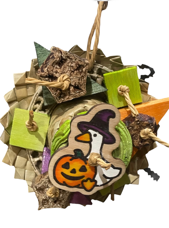 Gourd Goodies for Small and Medium Birds by Feathered Addictions