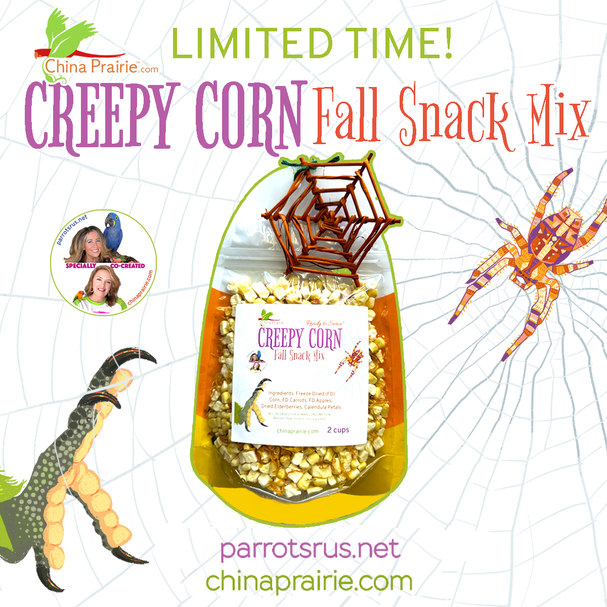 Creepy Corn! Fall Snack Mix 2 Cups LIMITED EDITION by China Prairie