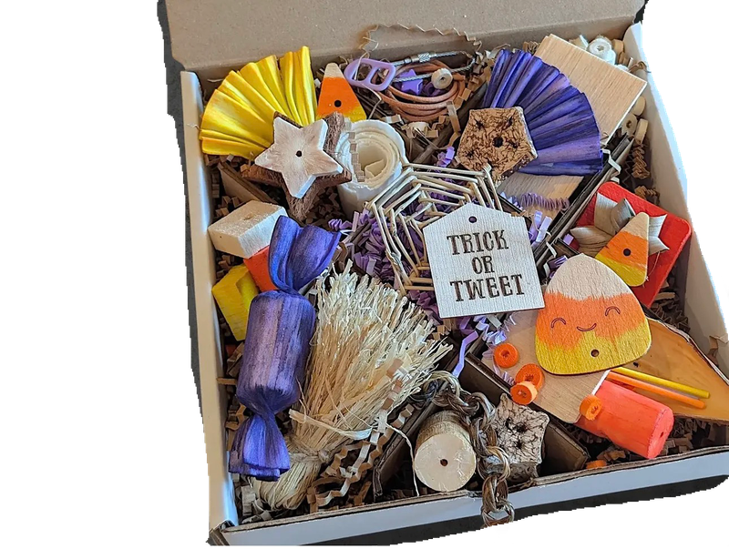 Treat or Tweet Discovery Box NEW Theme by Peter Piper Parrots -- Limited Edition